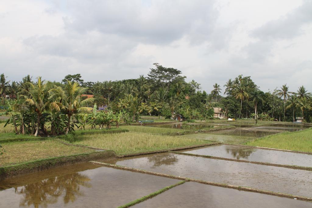 Villa Kami Ubud Ngoại thất bức ảnh