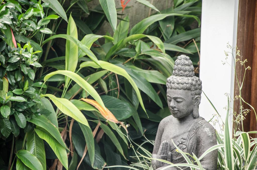 Villa Kami Ubud Ngoại thất bức ảnh