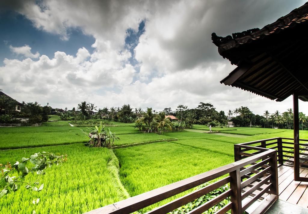 Villa Kami Ubud Ngoại thất bức ảnh